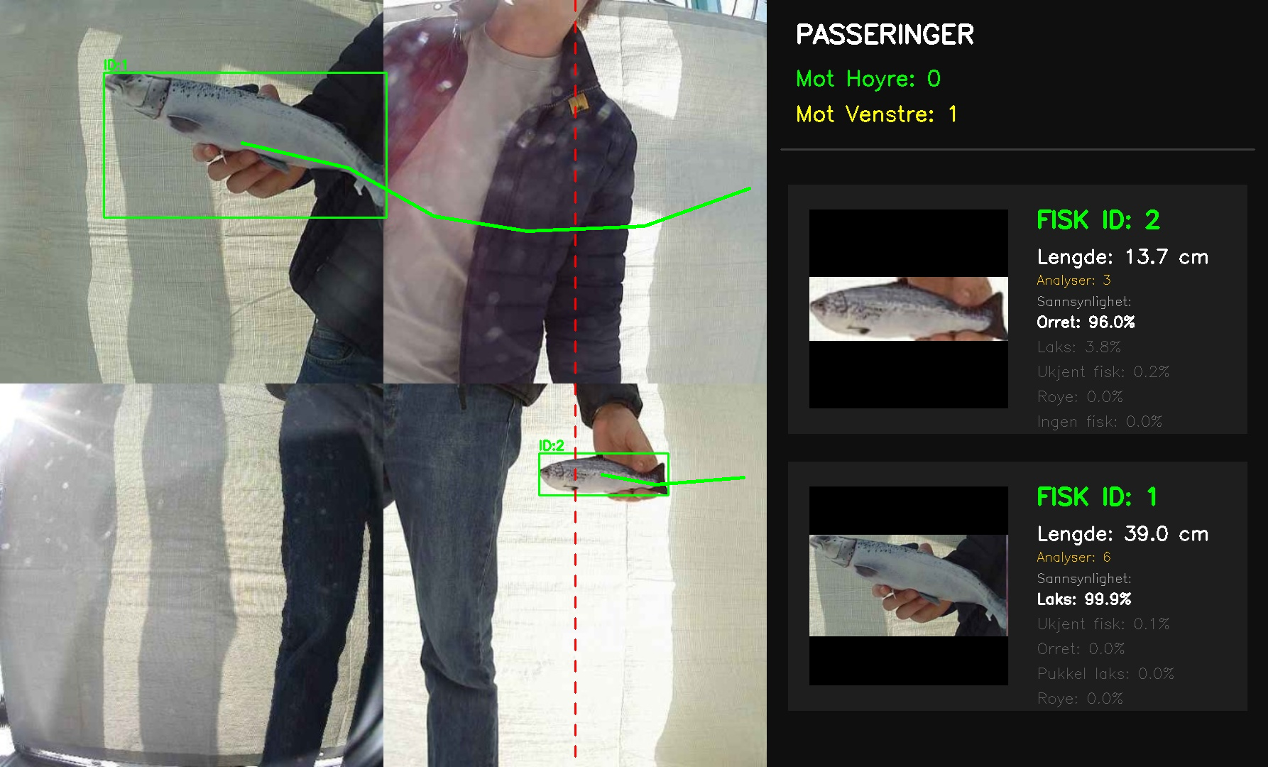 Demo of the full pipeline using a desk webcam: a person walks past holding paper printouts of two salmon. The web UI overlays bounding boxes on each printout, assigns 'FISK ID: 1' and 'FISK ID: 2', and reports estimated lengths (13.7 cm and 39.0 cm) and species confidence around 96–98%.