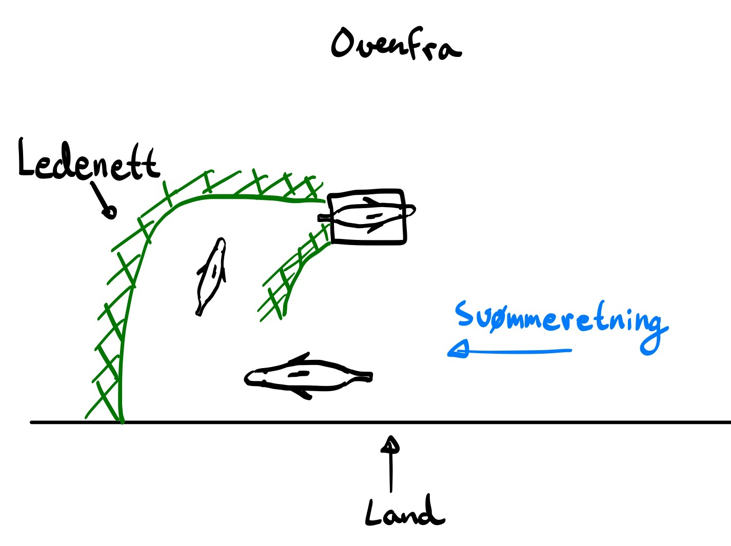 Hand-drawn top-down sketch of a river mouth: a green guide-net ('Ledenett') angles out from the land, funnelling fish into a black observation chamber. Fish drawings show the intended swim direction; a blue arrow labelled 'Svømmeretning' marks the natural current.